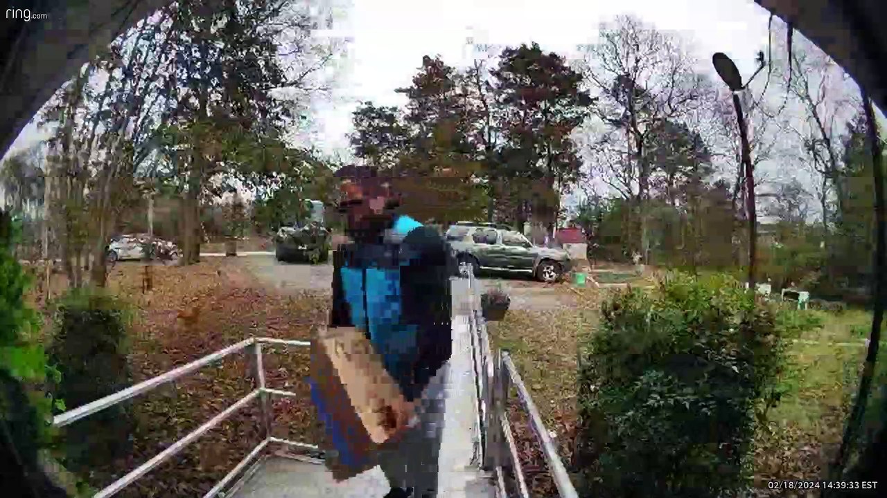 Friendly Hen Scares Away Amazon Driver