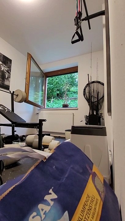 Plant Explodes After Man Fails to Throw it Through Window