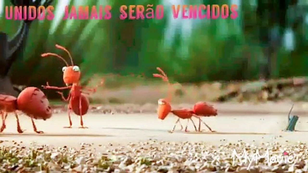 Trabalho  em equipe