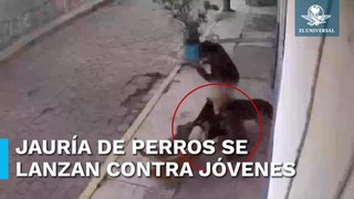 Jauría de perros ataca a dos jóvenes en Metepec; hieren a uno en la pierna