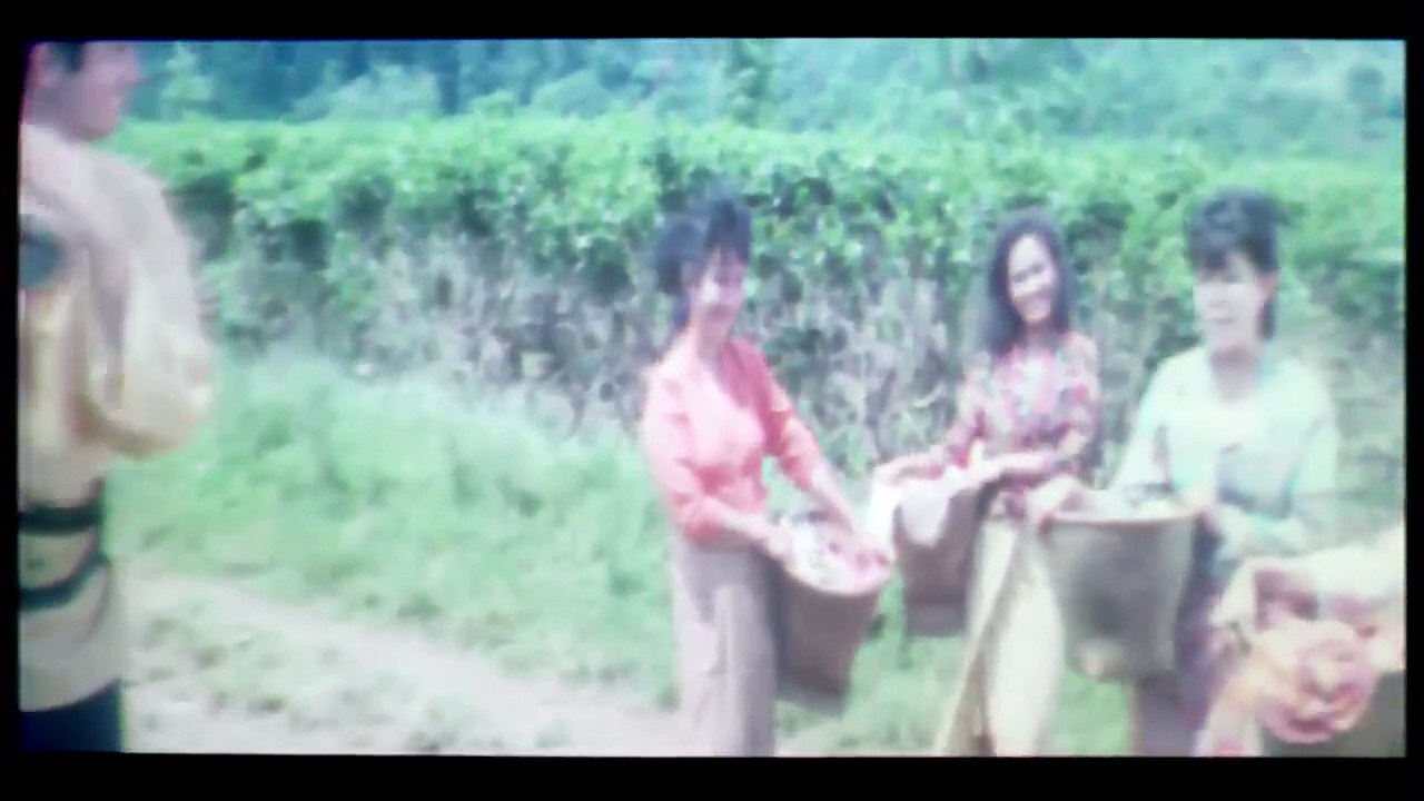 Pemburu Nyawa