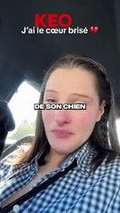 Pidi Partage Son Choix Touchant pour Son Chien Malade 🐶