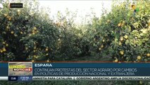 En España, sindicato agrícola y ganadero protesta exigiendo cambios en las políticas agrarias