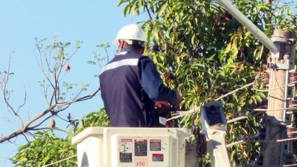 Analizarán la nueva tabla de enfermedades para los trabajadores en México en el CIAM