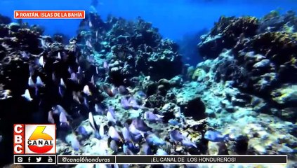 Alcalde se reúne con empresarios para tocar tema de verano