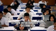 Tes PPPK 2024 Untuk Honorer, 100% Diterima Jadi ASN