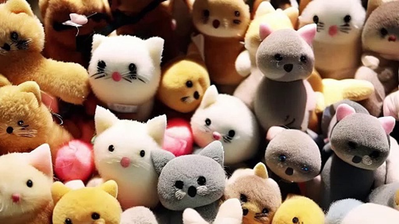 にゃんこのプログラミング妙技発動