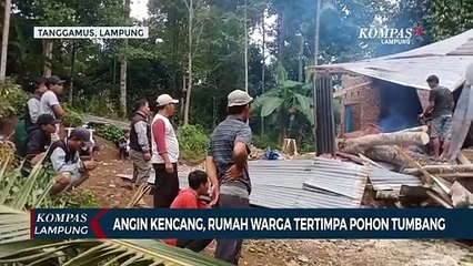 Download Video: Angin Kencang, Rumah Warga Hancur Tertimpa Pohon Tumbang