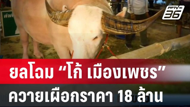 ยลโฉม “โก้ เมืองเพชร” ควายเผือกราคา 18 ล้าน | เที่ยงทันข่าว | 15 มี.ค. 67