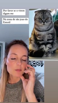 Bárbara Norton de Matos