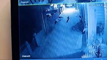 राजस्थान के इस शहर में आधी रात घुसा लेपर्ड, लोगों में दहशत, VIDEO हुआ वायरल