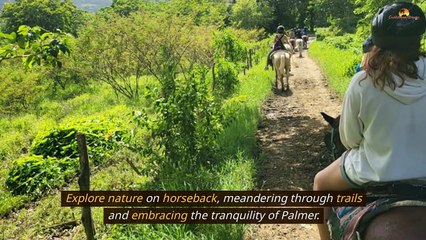 Beyond the Beaches Palmer's Pulse-Pounding Adventures for the Ultimate Puerto Rican Getaway