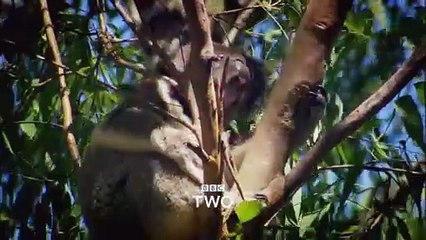 Australia with Simon Reeve | show | 2013 | Official Trailer