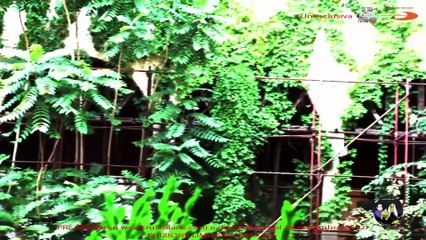 Zio Tibia - Il documentario | movie | 2017 | Official Trailer