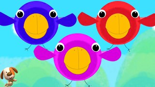 Five Little Birds Kids Rhyme & Cartoon Video for Children by Kids Baby Club