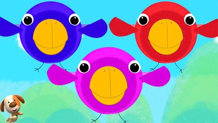Five Little Birds Kids Rhyme & Cartoon Video for Children by Kids Baby Club