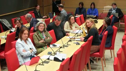 Délégation aux droits des enfants : Mme Judith Godrèche, actrice, scénariste, réalisatrice et écrivaine française  - Jeudi 14 mars 2024