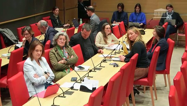 Délégation aux droits des enfants : Mme Judith Godrèche, actrice, scénariste, réalisatrice et écrivaine française - Jeudi 14 mars 2024