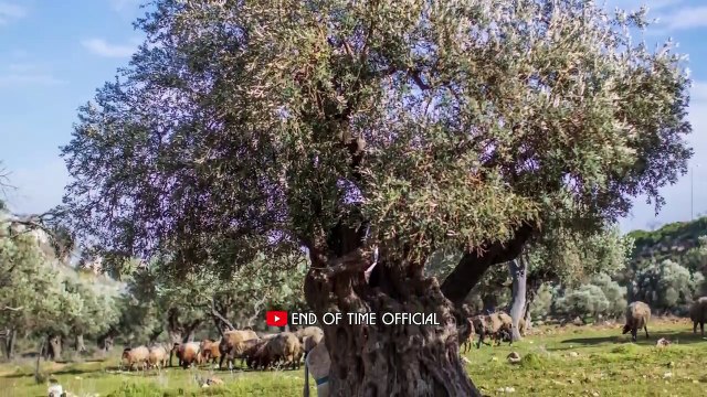 End of Time Imam Mahdi A.S ka Zahoor Hazrat Isa A.S ka nazool Dajjal ka kharooj Bari Jangen