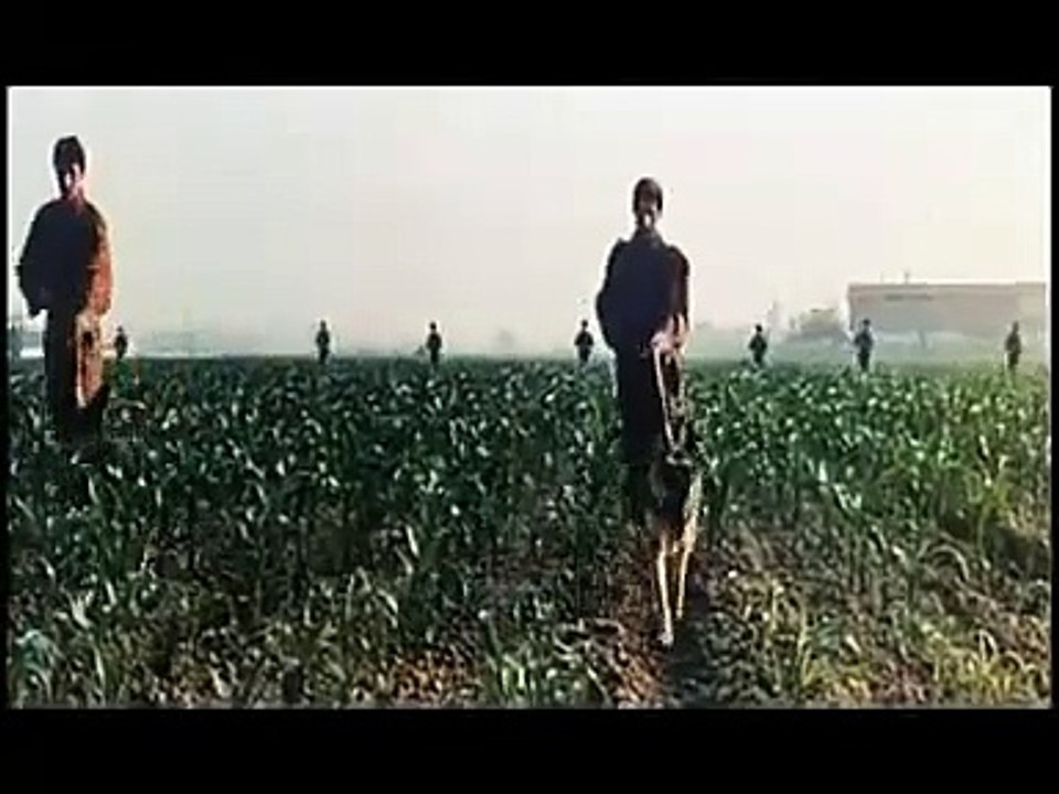 Der Tod trägt schwarzes Leder | movie | 1974 | Official Trailer