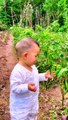 Babies Eating Chillies | Babies Funny Compilation | Babies Funny Moments | Cute Babies | Funny Babies #baby #babies #beautiful #cutebabies #fun #love #cute #funny #babyvideos