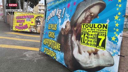 Le cirque Zavatta persona non grata à Toulon ?