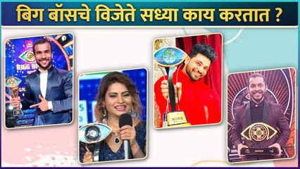 बिग बॉसचे विजेते सध्या काय करतात ? | Megha Dhade | Shiv Thakare | Vishal Nikam | Bigg Boss Marathi