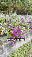 Top 5 des choses gratuites à faire dans les Yvelines