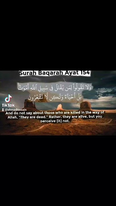 e6d769fd10ac106a5efc990eb4f23249