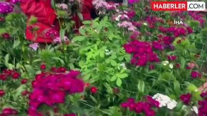 Tarım Lisesi öğrencileri ilk defa kesme çiçek yetiştirdi