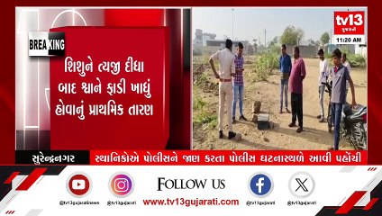 Surendranagar : ધાંગધ્રા હાઇવે નજીક મૃત હાલતમાં નવજાત શિશુ મળી આવ્યું
