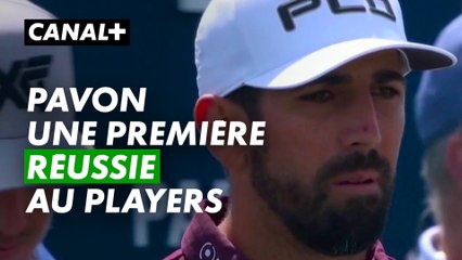 Pavon parmi les grands  -  The Players