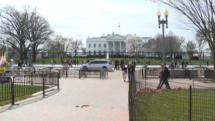 Des électeurs américains s'expriment sur le nouveau duel Trump-Biden