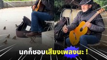 นกน้อยยืนฟังคุณลุงดีดกีตาร์ให้ฟัง ยืนนิ่งราวกับถูกมนตร์สะกด
