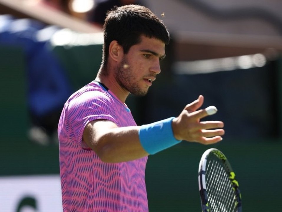 "unglaublich": tennis-match wegen bienen-attacke unterbrochen