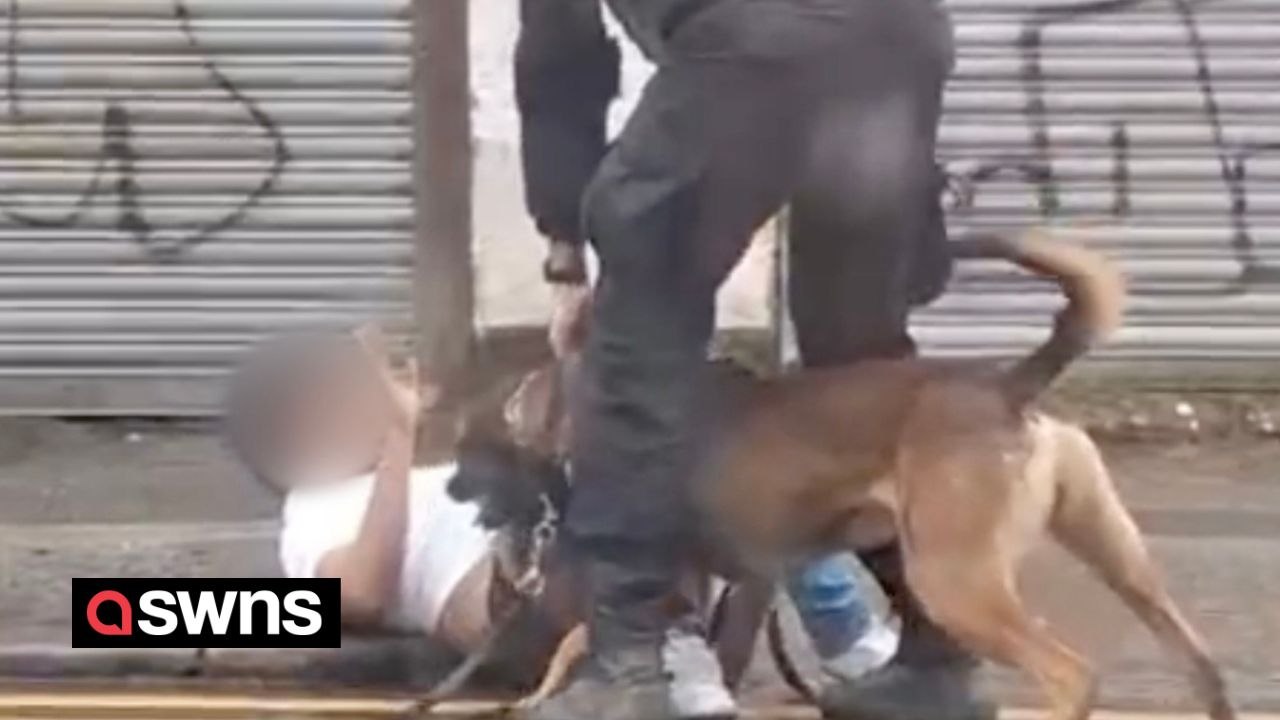 Moment police dog set on "terrified" teenager during arrest