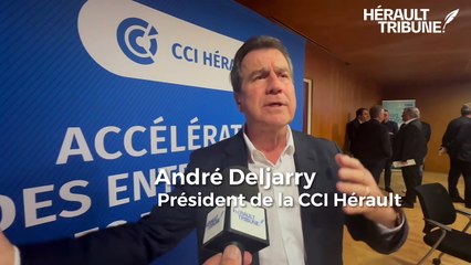 Interview avec André Deljarry Président de la CCI Hérault