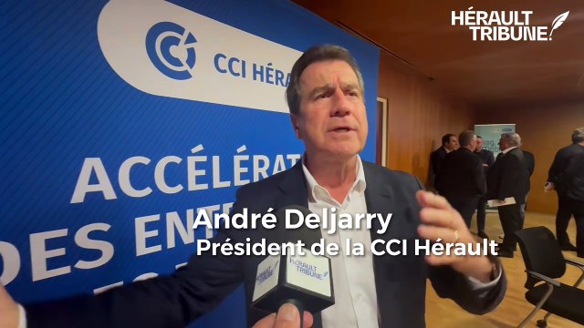 Interview avec André Deljarry Président de la CCI Hérault