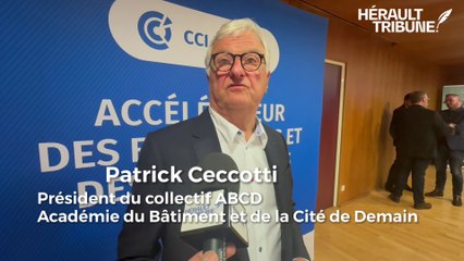Interview de Patrick Ceccotti Président du collectif ABCD