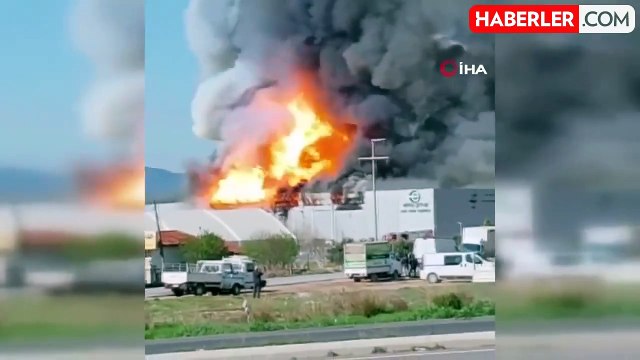 İzmir'de lojistik firmasında korkutan yangın