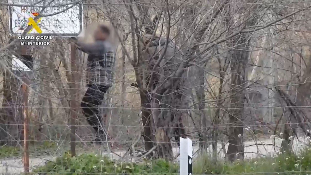 Detenidas seis personas por el hurto de más de quince toneladas de aceitunas en Madrid