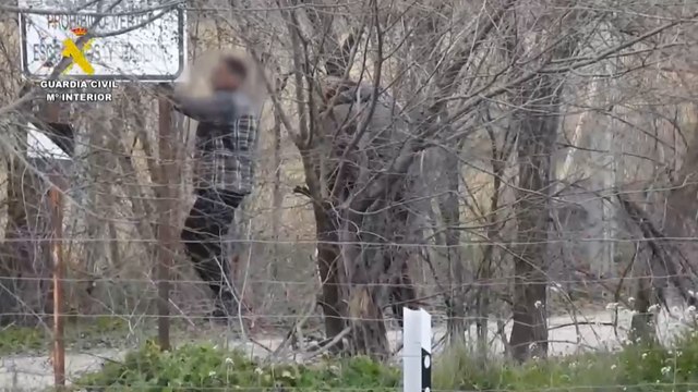 Detenidas seis personas por el hurto de más de quince toneladas de aceitunas en Madrid