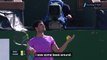 Alcaraz reflects on curious bee-haviour at Indian Wells