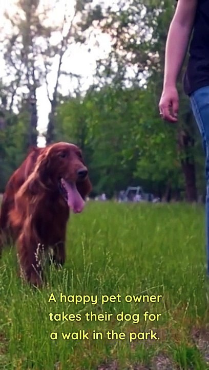 Home Sweet Home The Importance of Homeowners Insurance