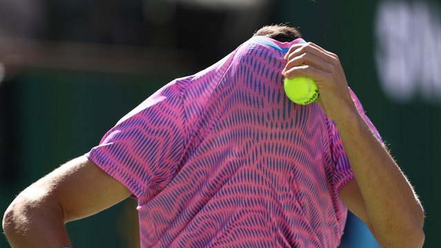Tennis : une invasion d’abeilles interrompt le match entre Alcaraz et Zverev à Indian Wells
