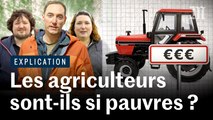 Crise agricole : peut-on encore vivre de l’agriculture en France ?