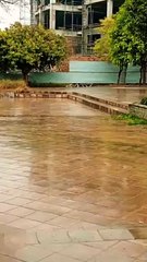 Allah hu Allah #reels #foryou #tiktok  #trending #viral  #shortvideo