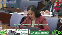 Mª Mercedes Rodriguez defiende en Comisión PnL  relativa a elaboración de una Estrategia Nacional contra el Abandono Escolar. 14.03.2024