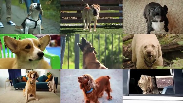 Get $1,000 PER DAY Uploading FREE Sound Clips To YouTube