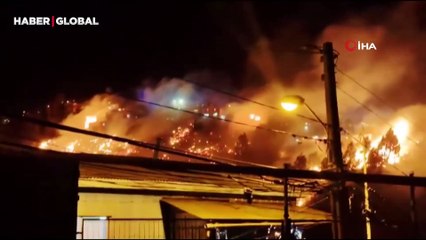 Şili'de büyük felaket! Orman yangını evleri de sıçradı: 2 ölü